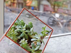 -蝶舍·MAISON PAPILLON