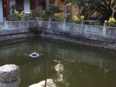 -普陀山慧济禅寺