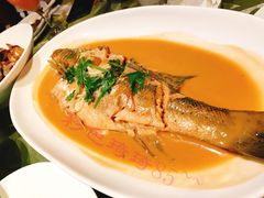 -醉胶东(友谊店)