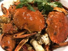 -石头咕(葵蓬店)