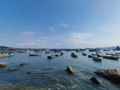 -海源公园