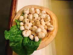 -百年果林椰子鸡(中洲店)