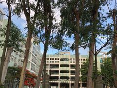 -厦门市大同中学