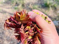 -青州市云门山风景区