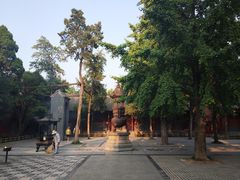-洛阳白马寺