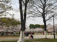 -石湖景区