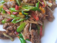 -大笮风(体育馆总店)