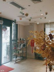 -海茱雅科技健康美容