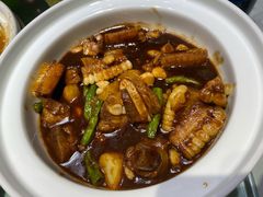 -三强鸽子(中原路店)