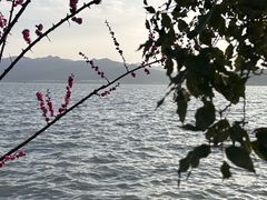 -晓琦农家菜馆·地道农家菜