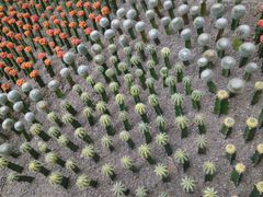 -南山植物园