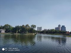 -荔湾湖公园