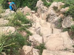 -北京鹫峰国家森林公园