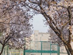 -山东师范大学(千佛山校区)