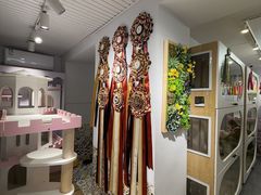 -青奢宠物·青奢猫舍