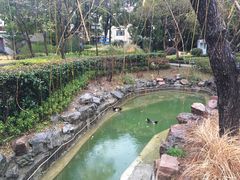 -上海虹桥迎宾馆