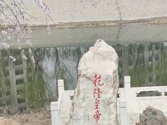 -桃花堤公园