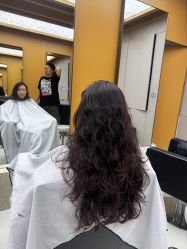 -东方麒麟·潘多拉SALON