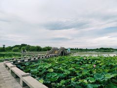 -仙山湖景区