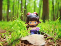 -上海共青森林公园