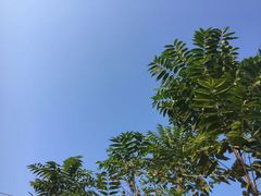 -王阳明故居