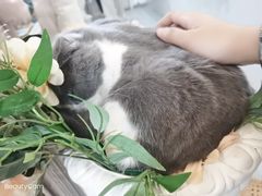 -共舞时光猫咖·狗咖(新街口店)
