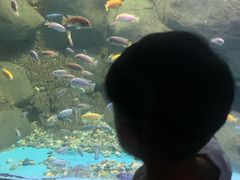 -苏州海洋馆