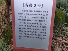 -绮园景区