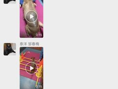 -泰洋动物医院·神经专科·磁共振·CT(天河公园总院)