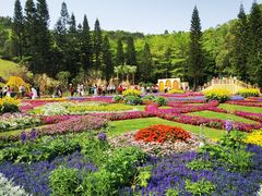 -深圳仙湖植物园