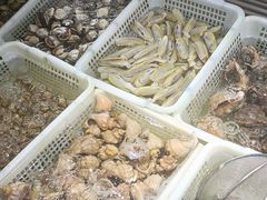 -金沙滩海鲜餐厅·海肠捞饭·手工水饺(梅江龙水园店)