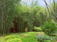 -望江楼公园