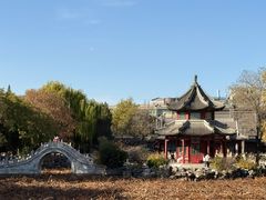 -莲池书院博物馆