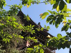 -西安青龙寺遗址景区