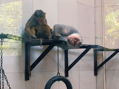 -西安秦岭野生动物园