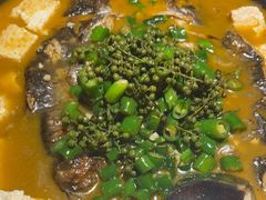 -探鱼·鲜青椒爽麻烤鱼(广州欣荣广场店)