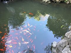 -君来梁溪饭店-餐厅