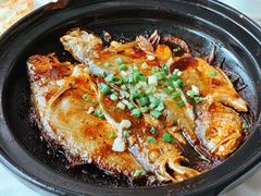 黄鱼-食家鸽园