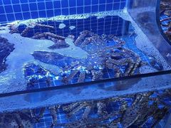-驻海渔市(置信店)