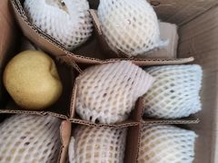 -港华水果街(港华广场店)