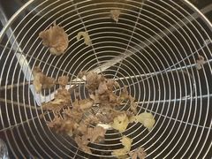 雪花-潮汕三宝鲜牛肉火锅