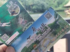 -西双版纳原始森林公园