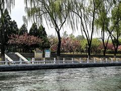 -皇家御河游(紫御湾码头)