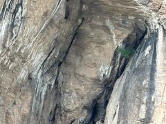-白帝城·瞿塘峡景区