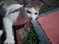 -伍哥厨房(新滘东路店)