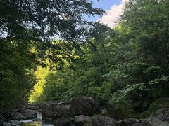-龙苍沟森林公园
