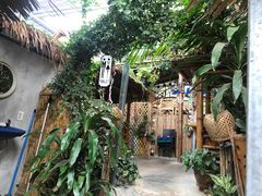 -Jungle Kitchen