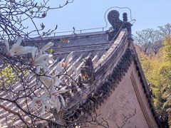 -潭柘寺景区