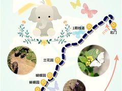 -野象谷景区