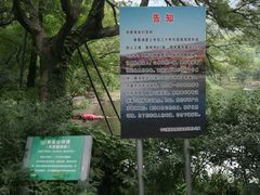-紫霞湖公园